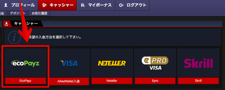 カジノクラブジャパンでエコペイズを使って入金する画面の写真